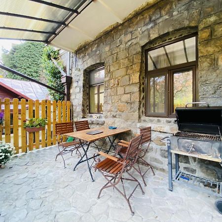 Apartment Carol Private Yard With Barbeque And Parking 锡纳亚 外观 照片