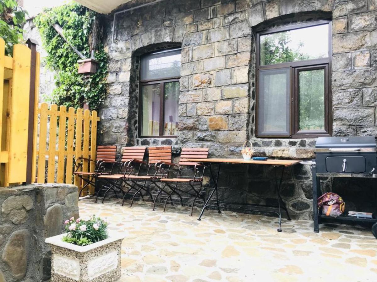 Apartment Carol Private Yard With Barbeque And Parking 锡纳亚 外观 照片
