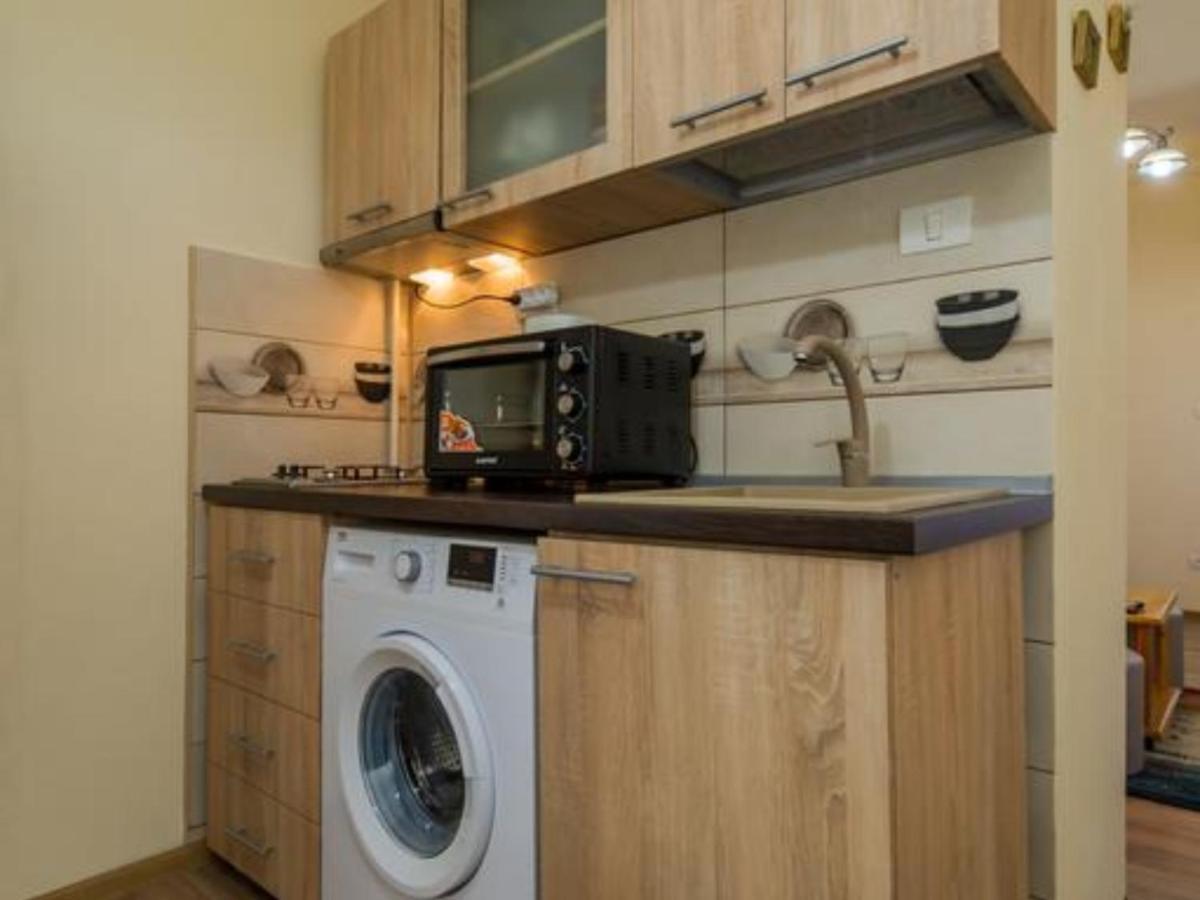 Apartment Carol Private Yard With Barbeque And Parking 锡纳亚 外观 照片