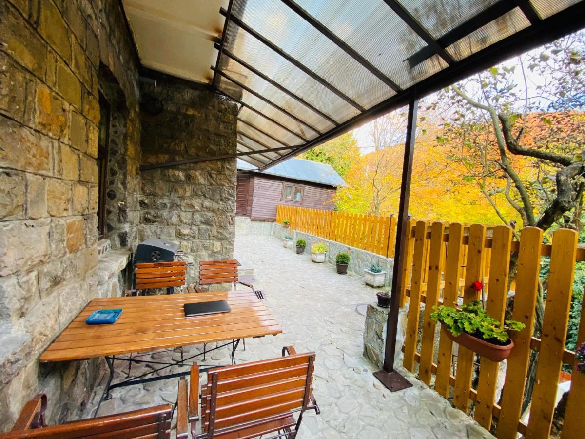 Apartment Carol Private Yard With Barbeque And Parking 锡纳亚 外观 照片