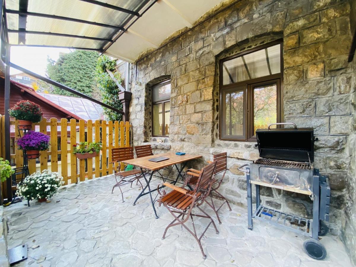 Apartment Carol Private Yard With Barbeque And Parking 锡纳亚 外观 照片