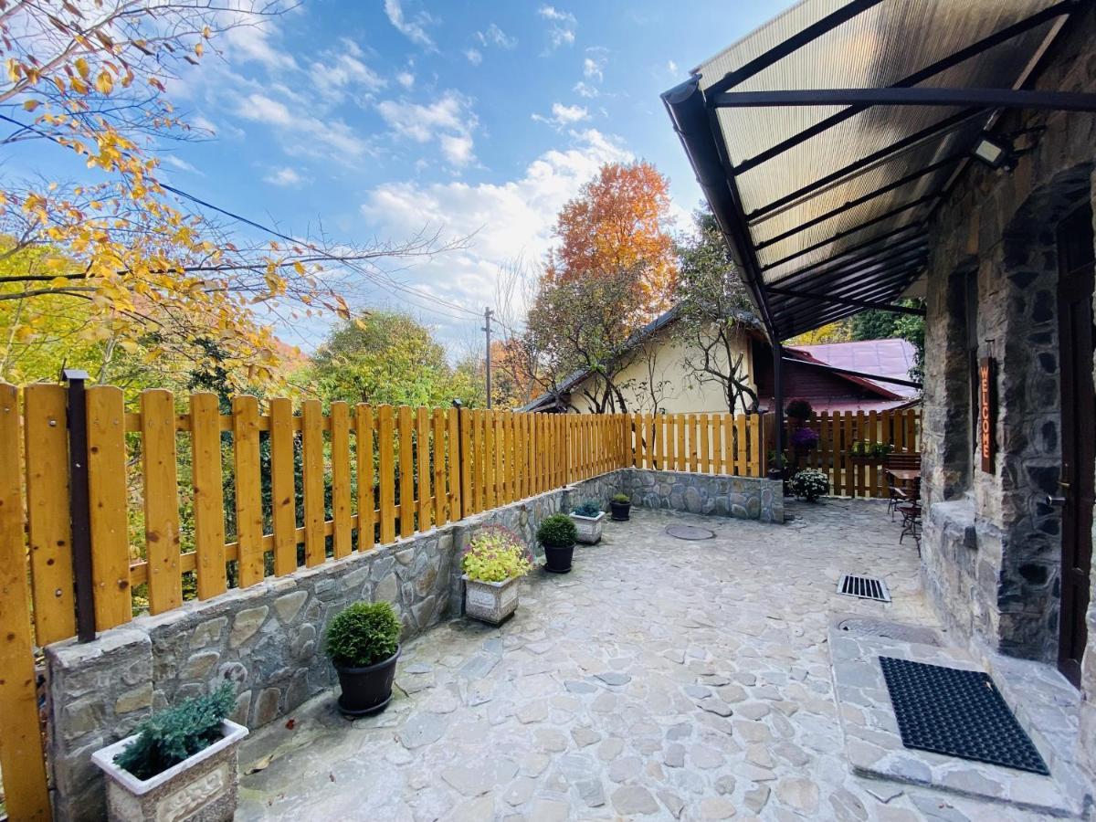 Apartment Carol Private Yard With Barbeque And Parking 锡纳亚 外观 照片