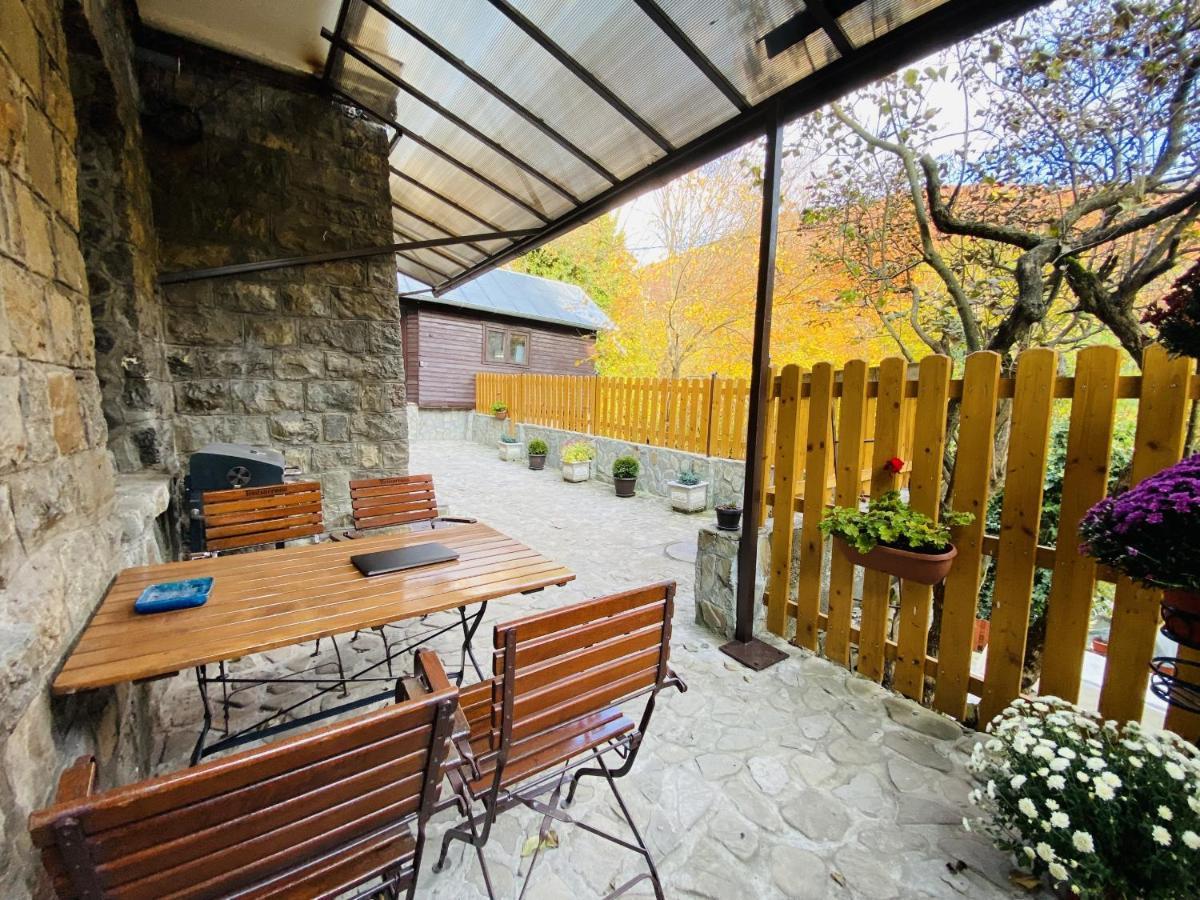 Apartment Carol Private Yard With Barbeque And Parking 锡纳亚 外观 照片