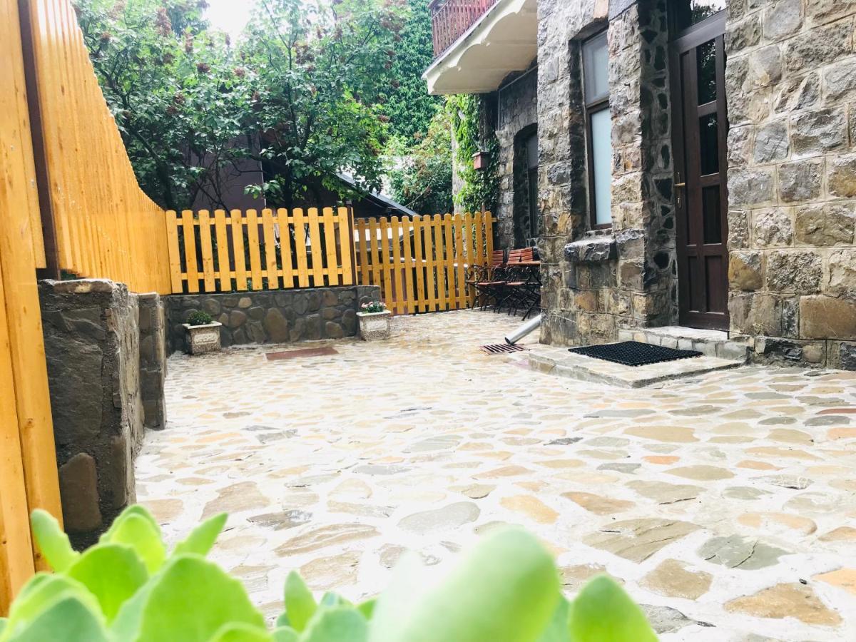 Apartment Carol Private Yard With Barbeque And Parking 锡纳亚 外观 照片