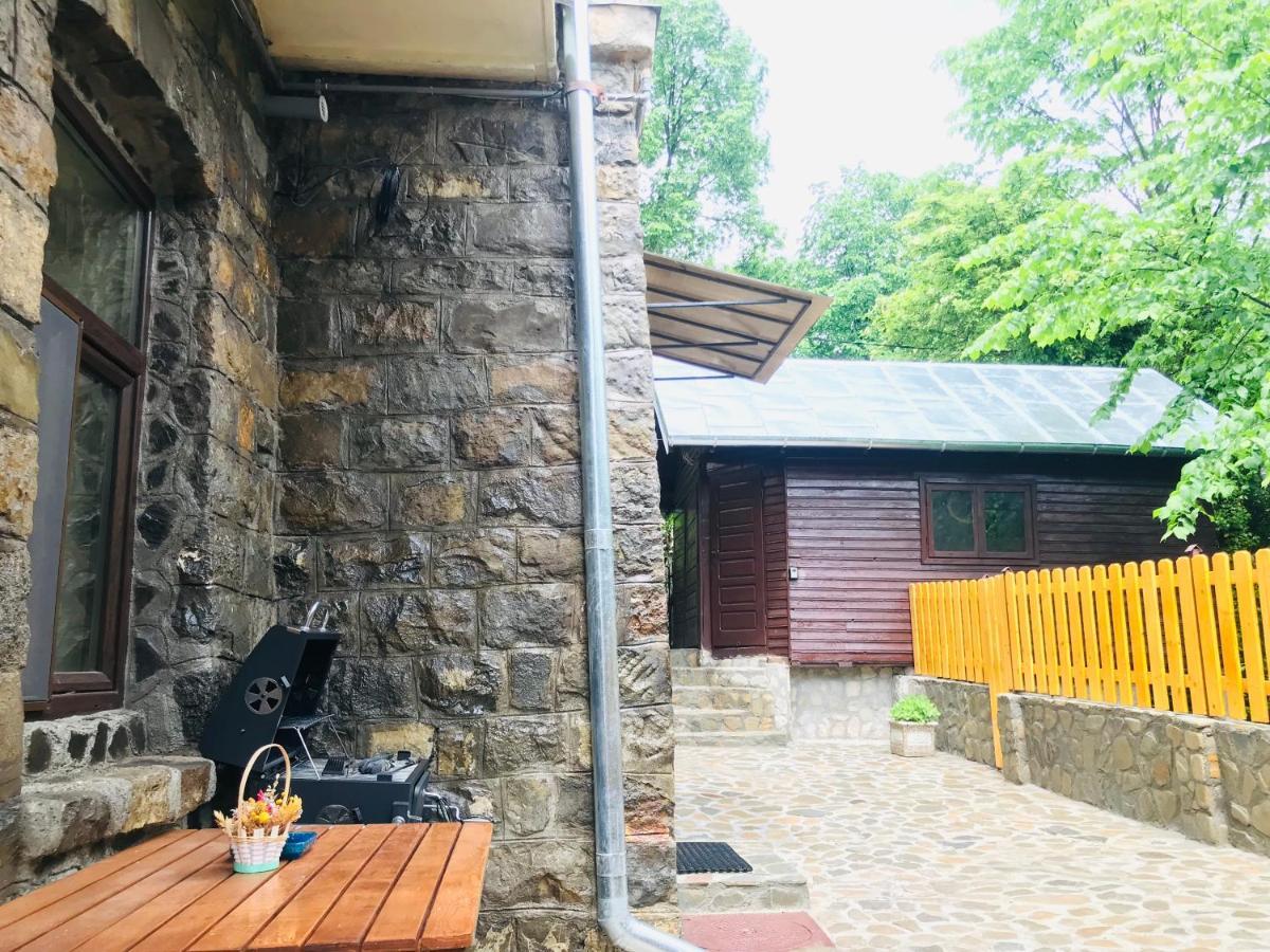 Apartment Carol Private Yard With Barbeque And Parking 锡纳亚 外观 照片